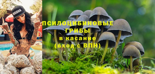 а пвп мука Алексеевка