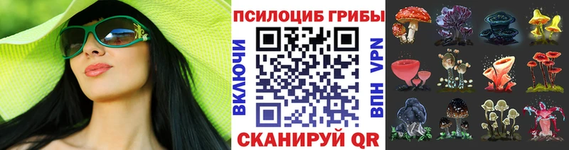 хочу наркоту  Невьянск  Псилоцибиновые грибы прущие грибы 